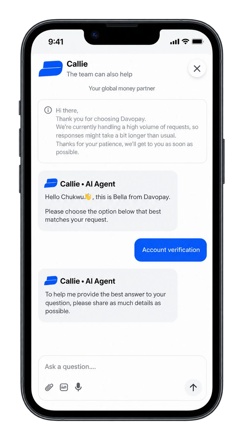 Davopay in-app support preview